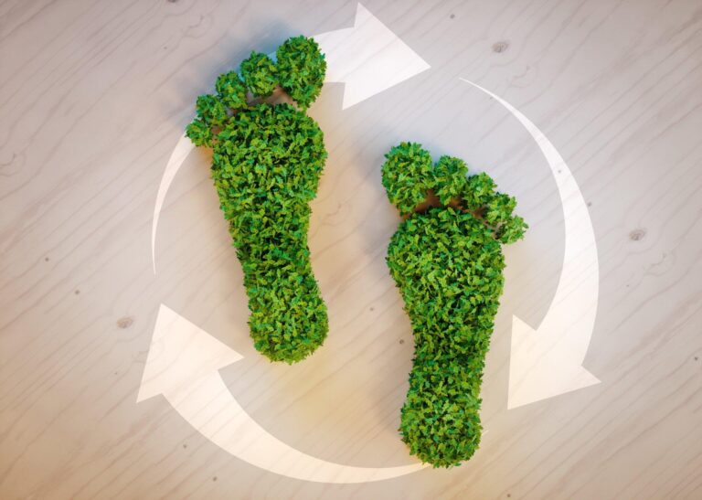 Sustainable IT Infrastructure Support: Reduce Your Digital Footprint